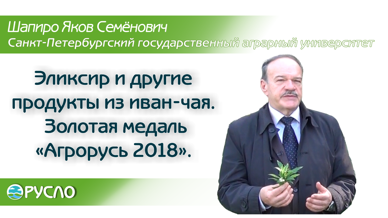 Эликсир и другие продукты на основе иван-чая. Золотая медаль «Агрорусь 2018».